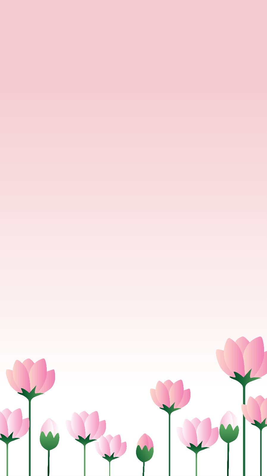 연꽃밭