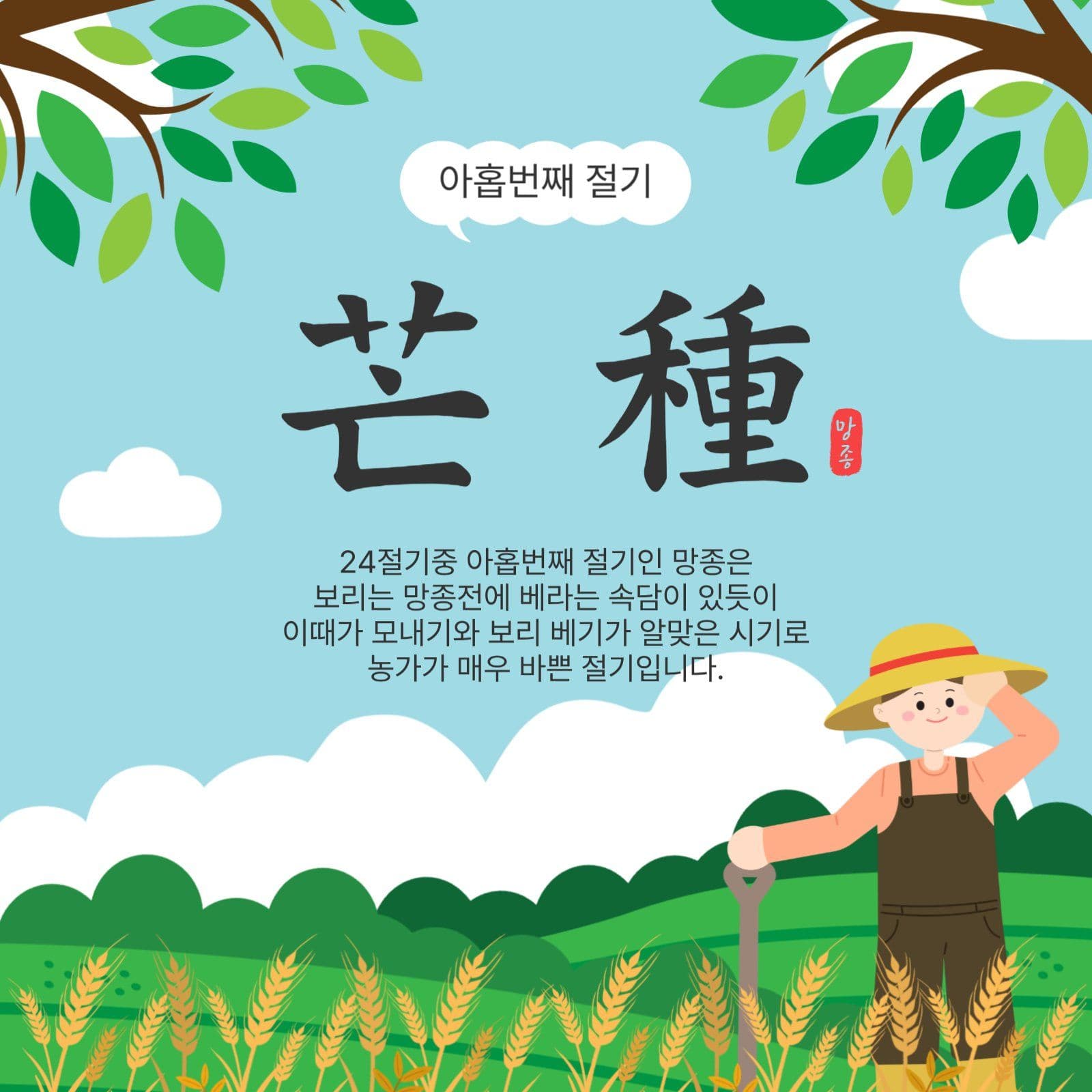 아홉번째절기망종