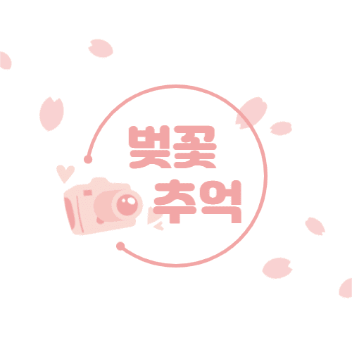 벚꽃 추억