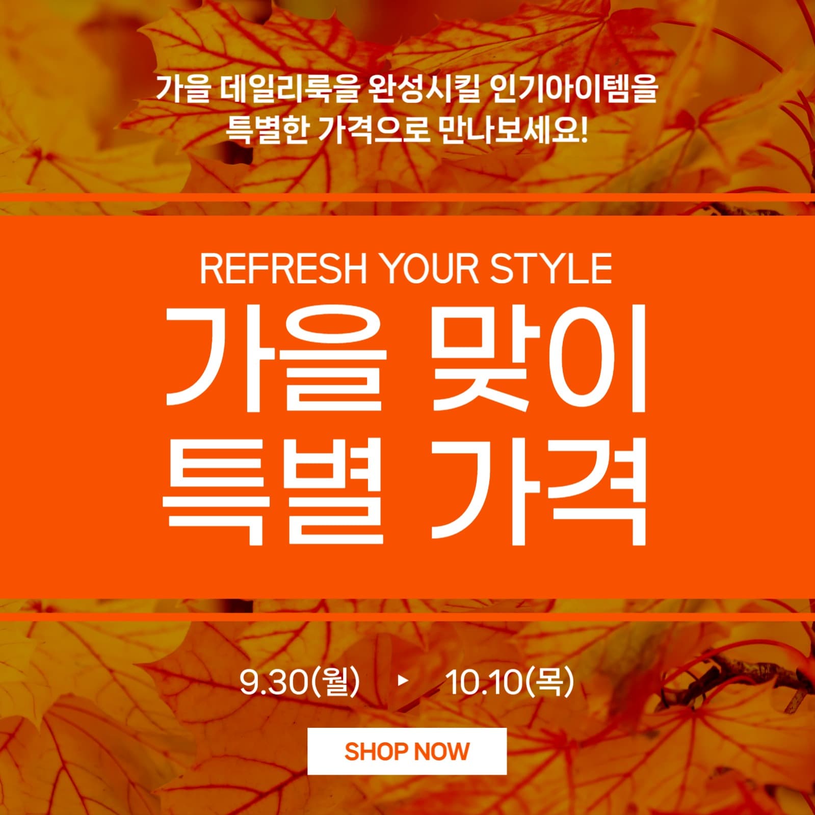 주황색 가을 맞이  특별가격전 게시물