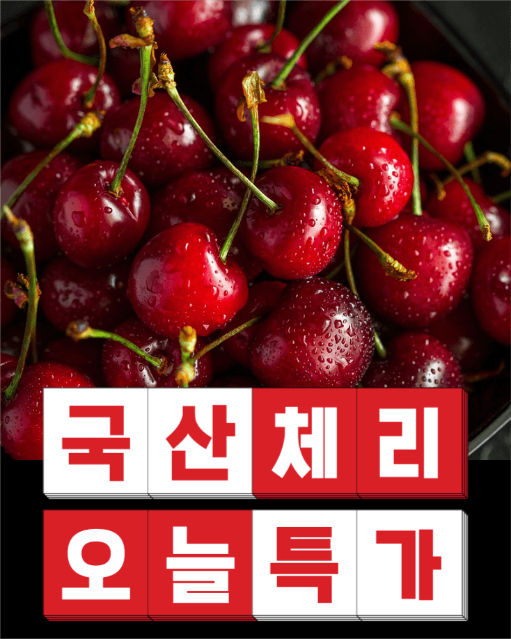 국산 체리 오늘 특가 인스타그램
