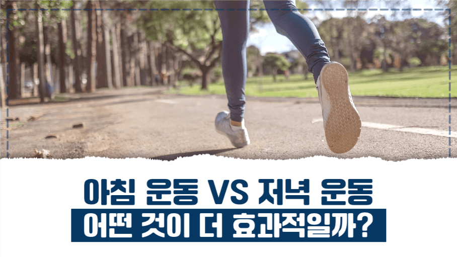 아침 운동 VS 저녁 운동 유튜브