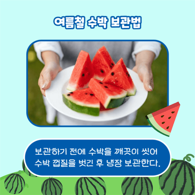 수박 보관법 (카드뉴스)