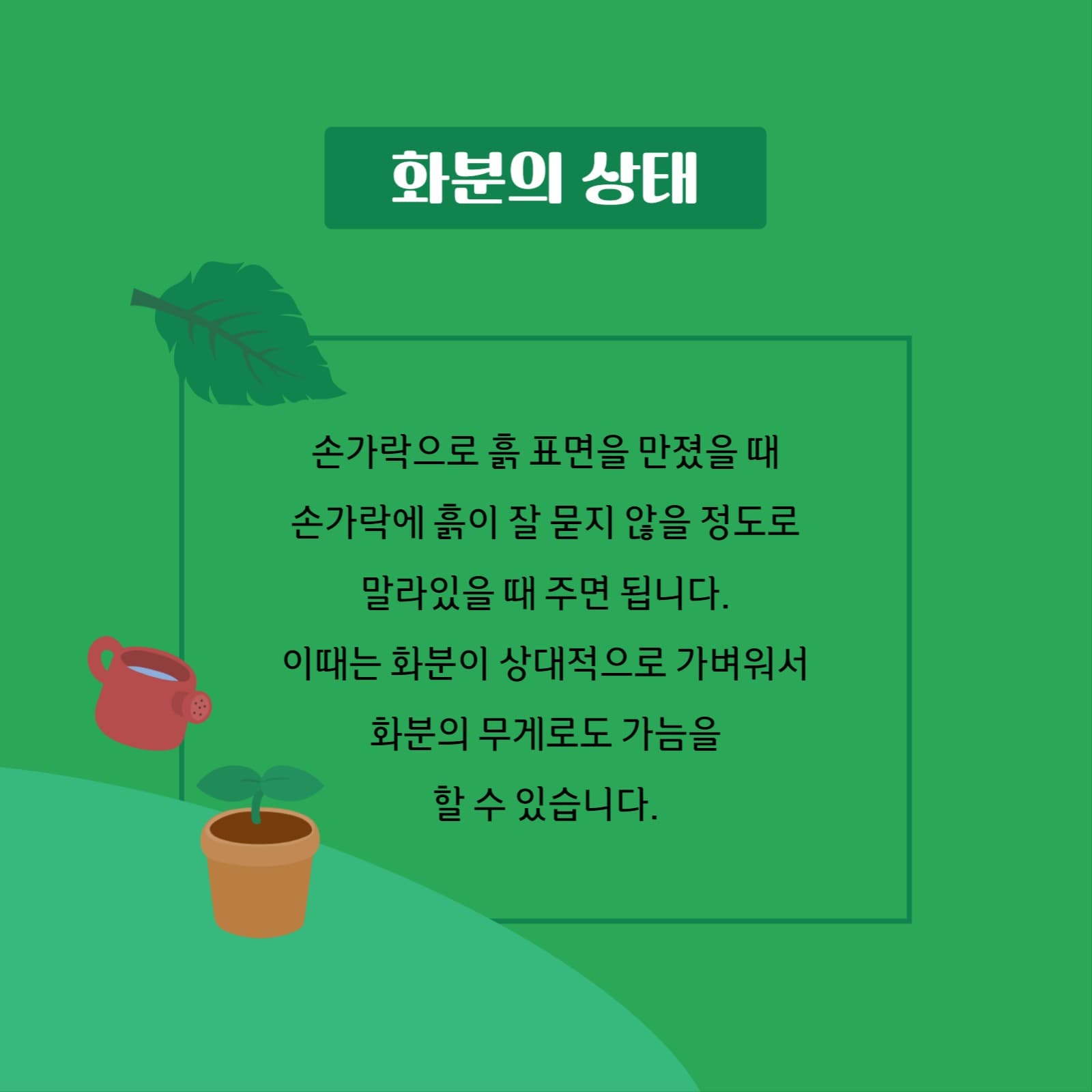정원 가꾸기 물주기편 카드뉴스