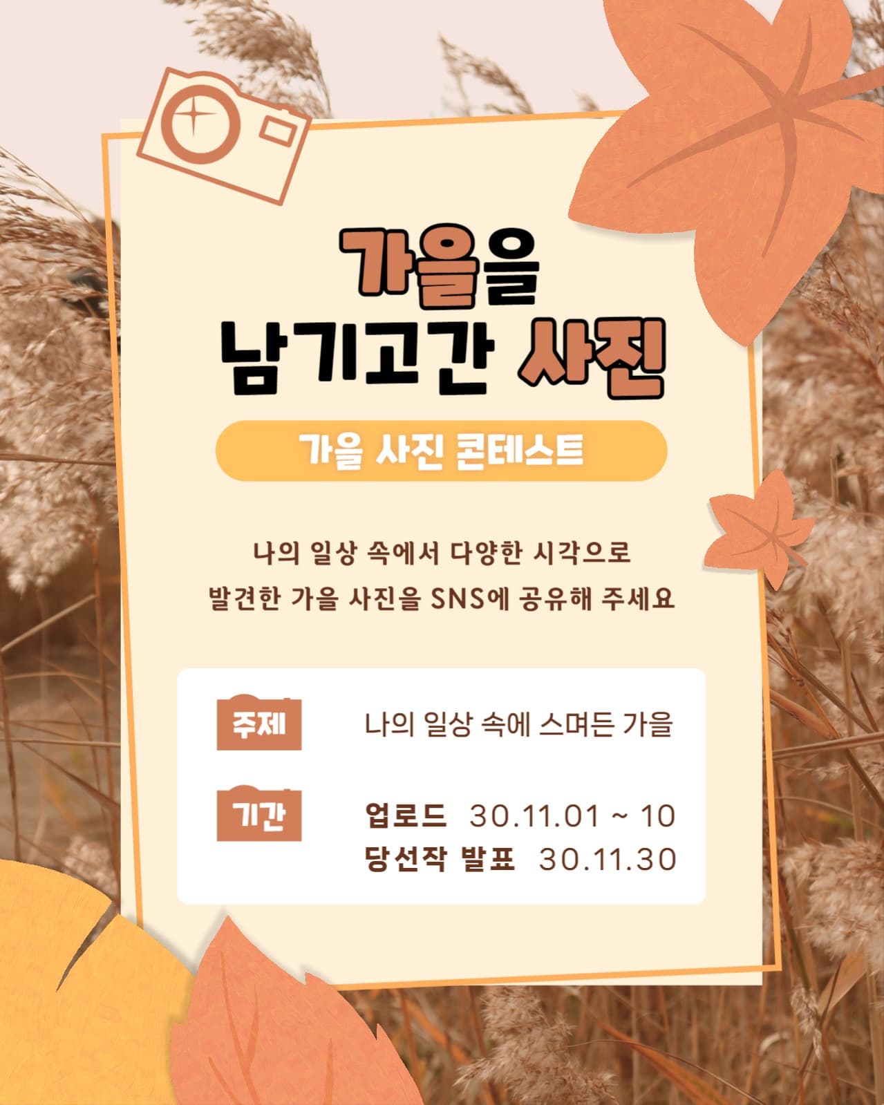 가을 사진 콘테스트 인스타