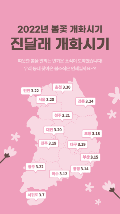 진달래 개화시기