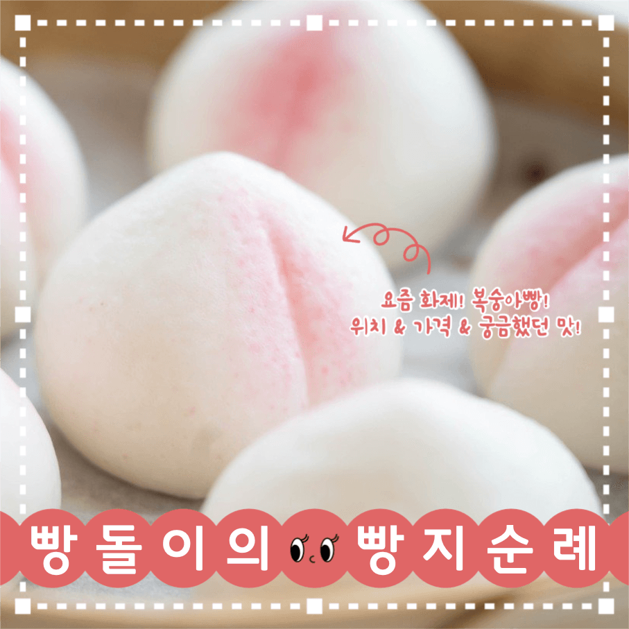 빵돌이의 빵지순례 인스타그램