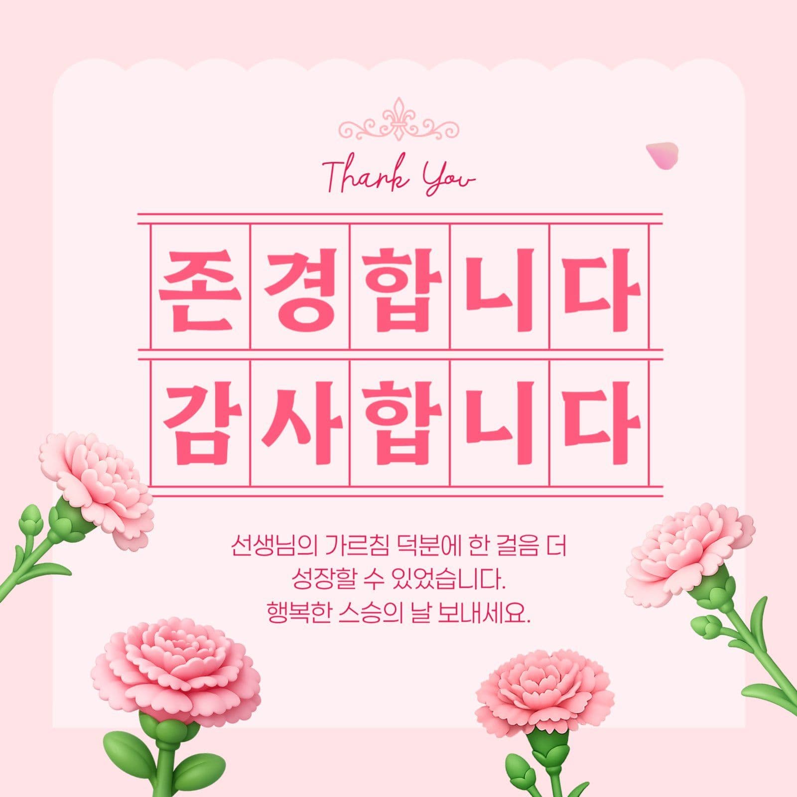 핑크 카네이션 스승의날 감사 편지