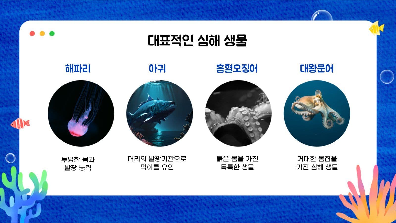 산호초 해양생물 교육자료