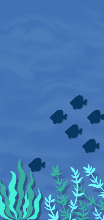 바닷속 풍경