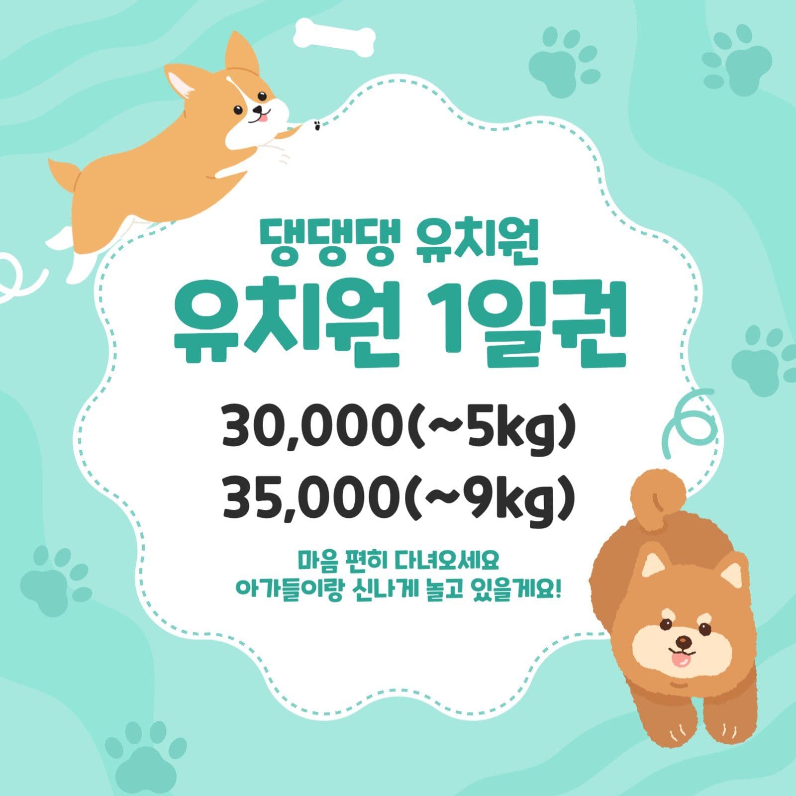 애견 유치원 1일권 안내