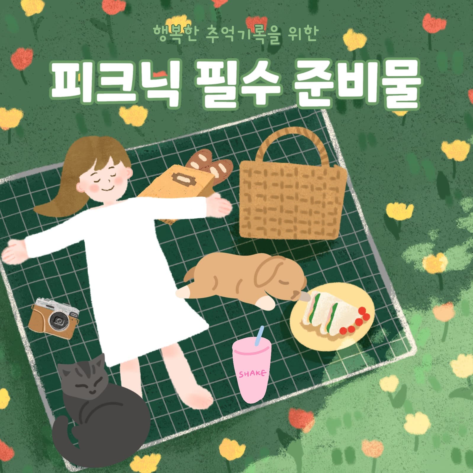 피크닉 준비물