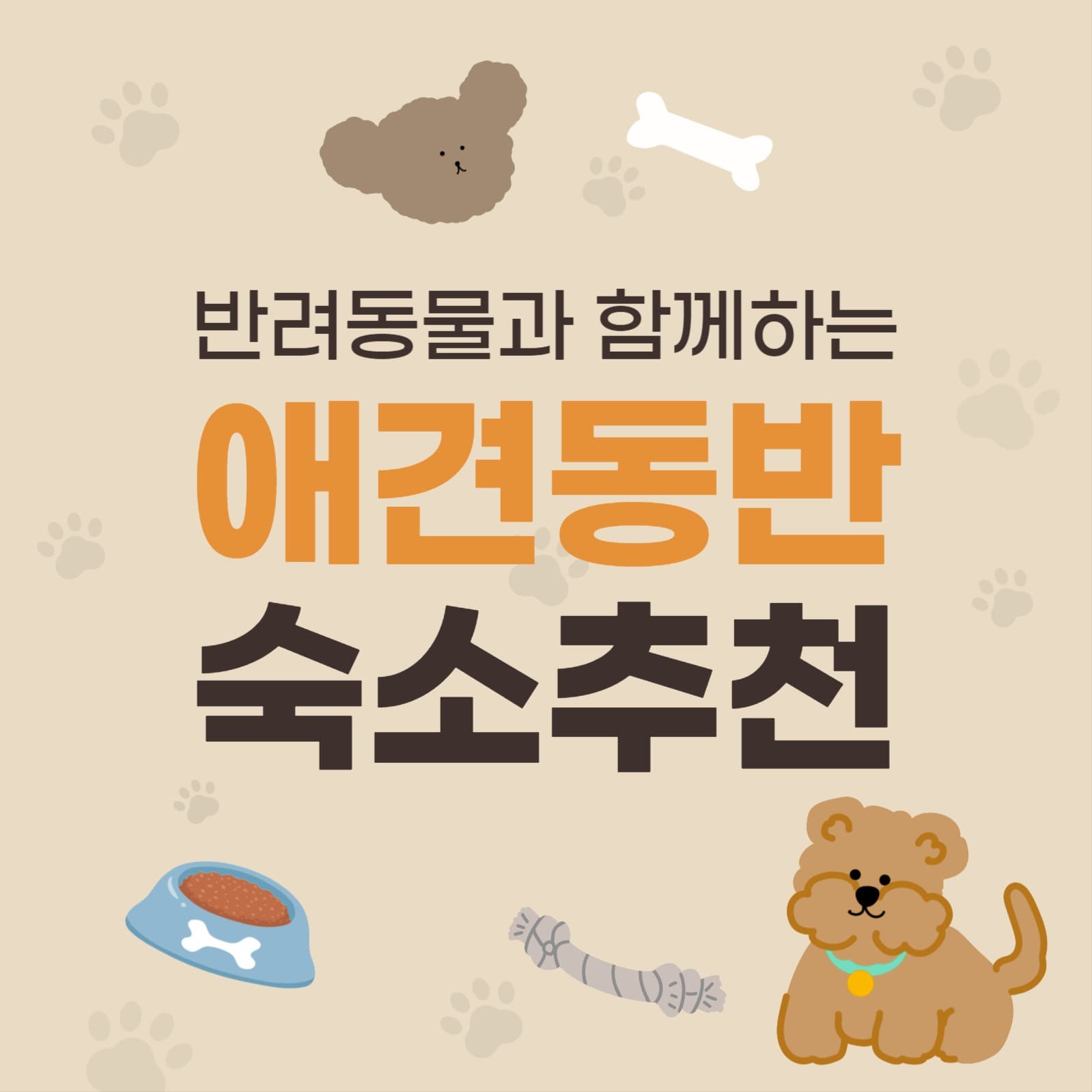 애견동반숙소추천