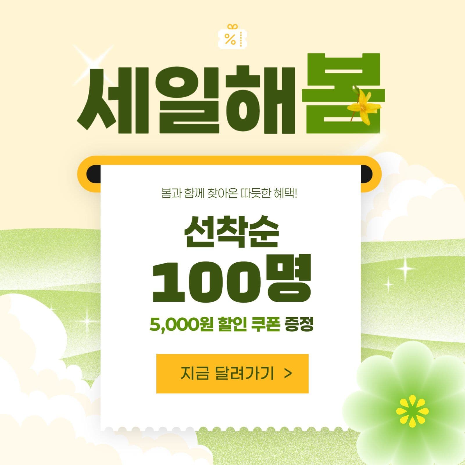봄 선착순 세일 쿠폰