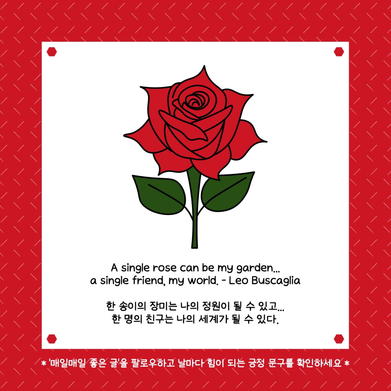 한 송이의 장미는 좋은 글 인스타그램
