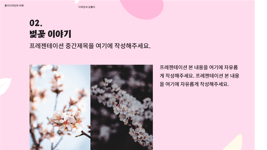 벚꽃놀이 가이드