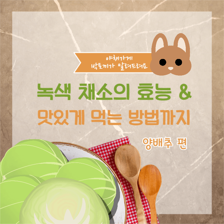 야채가게 박토끼 인스타