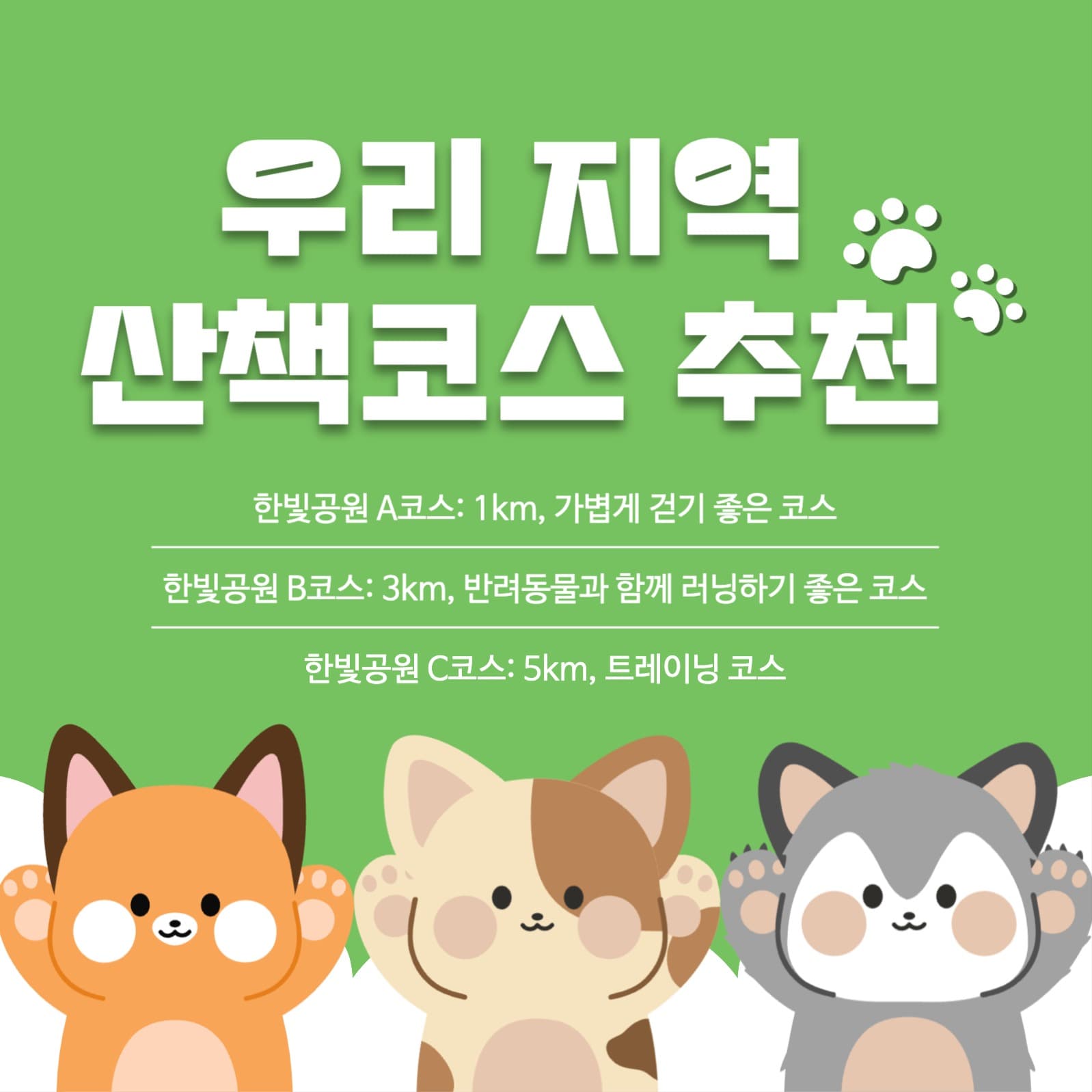 반려동물 인스타그램 게시물 템플릿