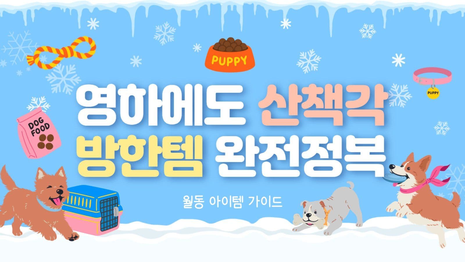 월동준비 반려견 아이템 썸네일