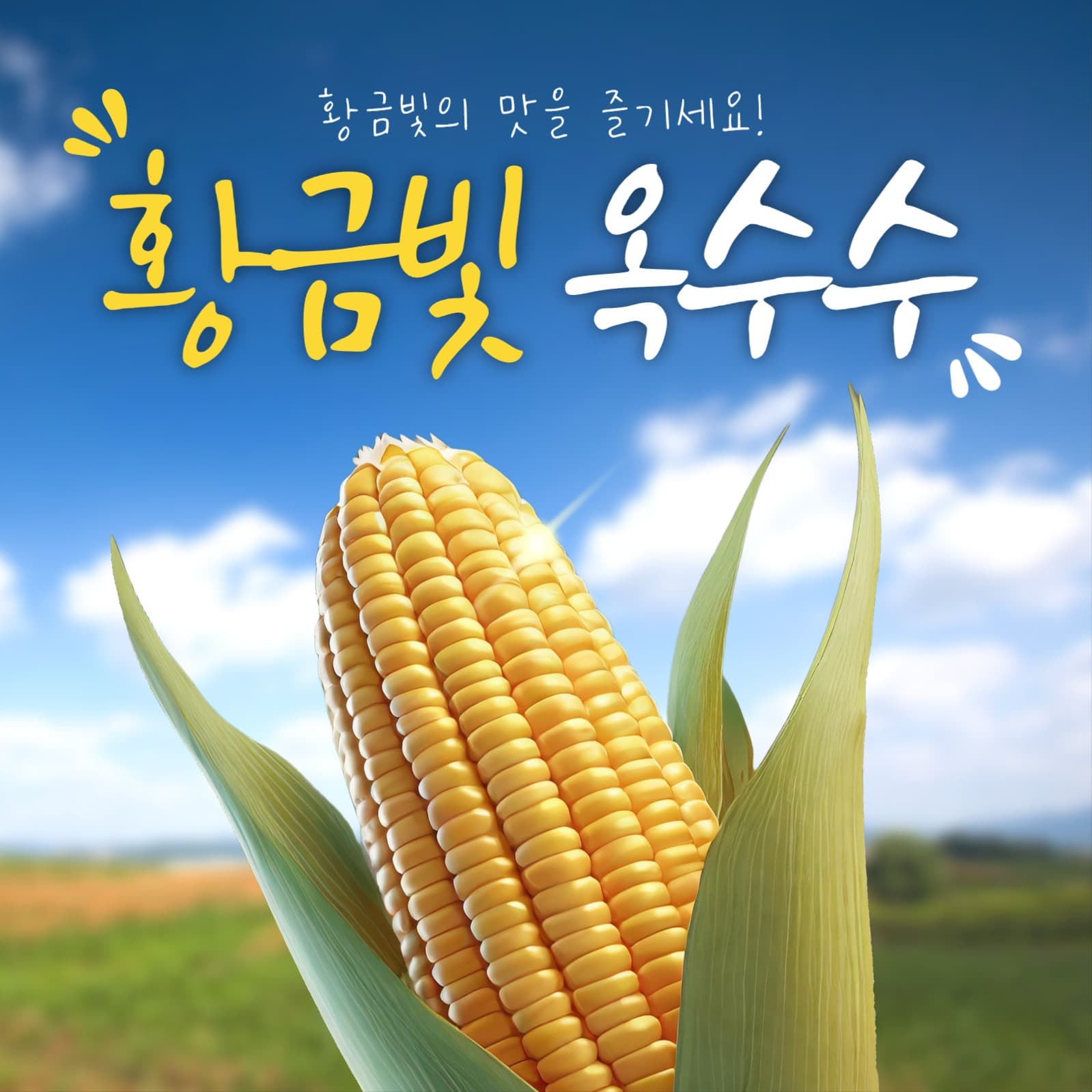 옥수수 광고 sns 게시물