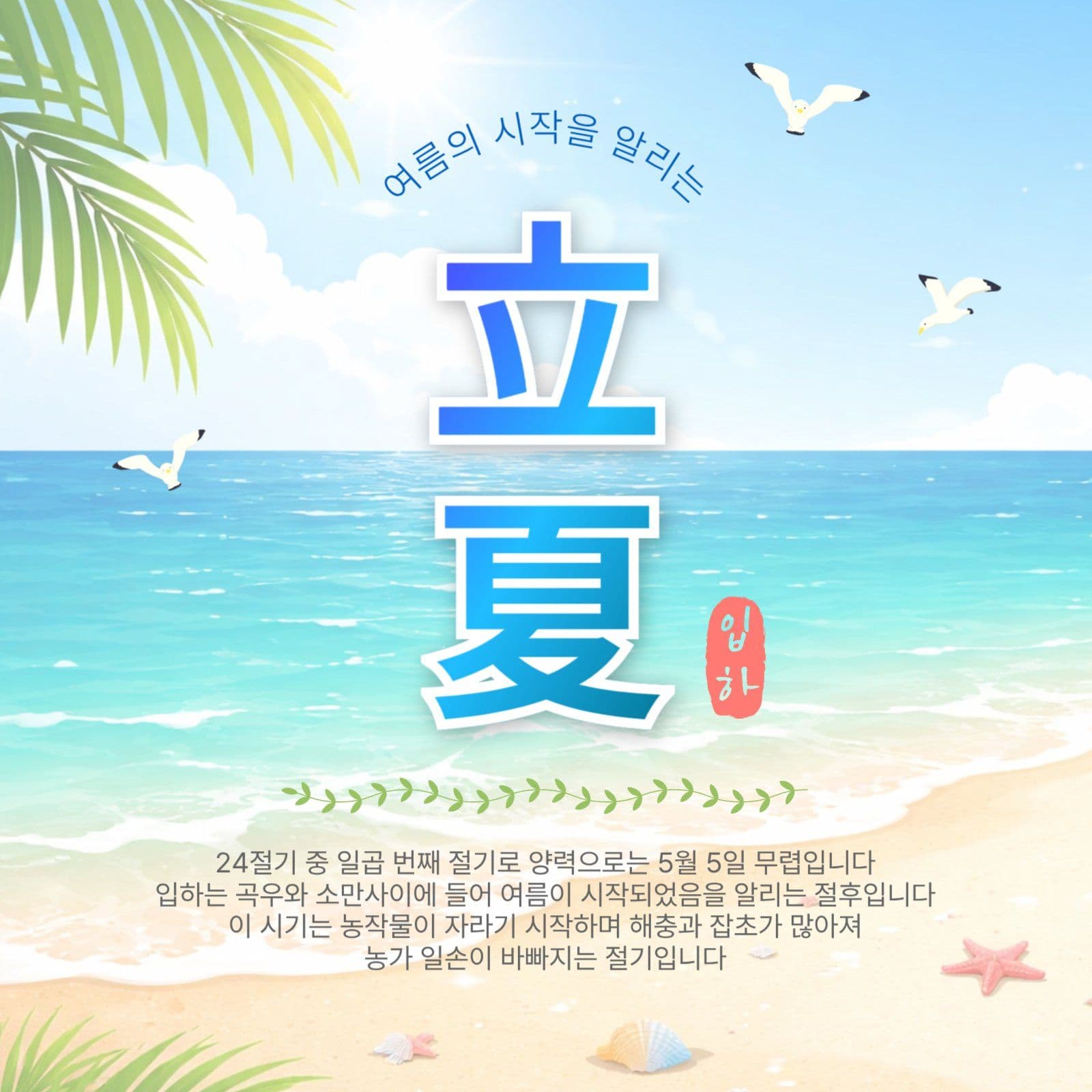여름의시작입하
