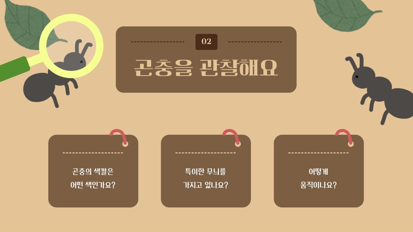 곤충 관찰 프로그램 안내 PPT
