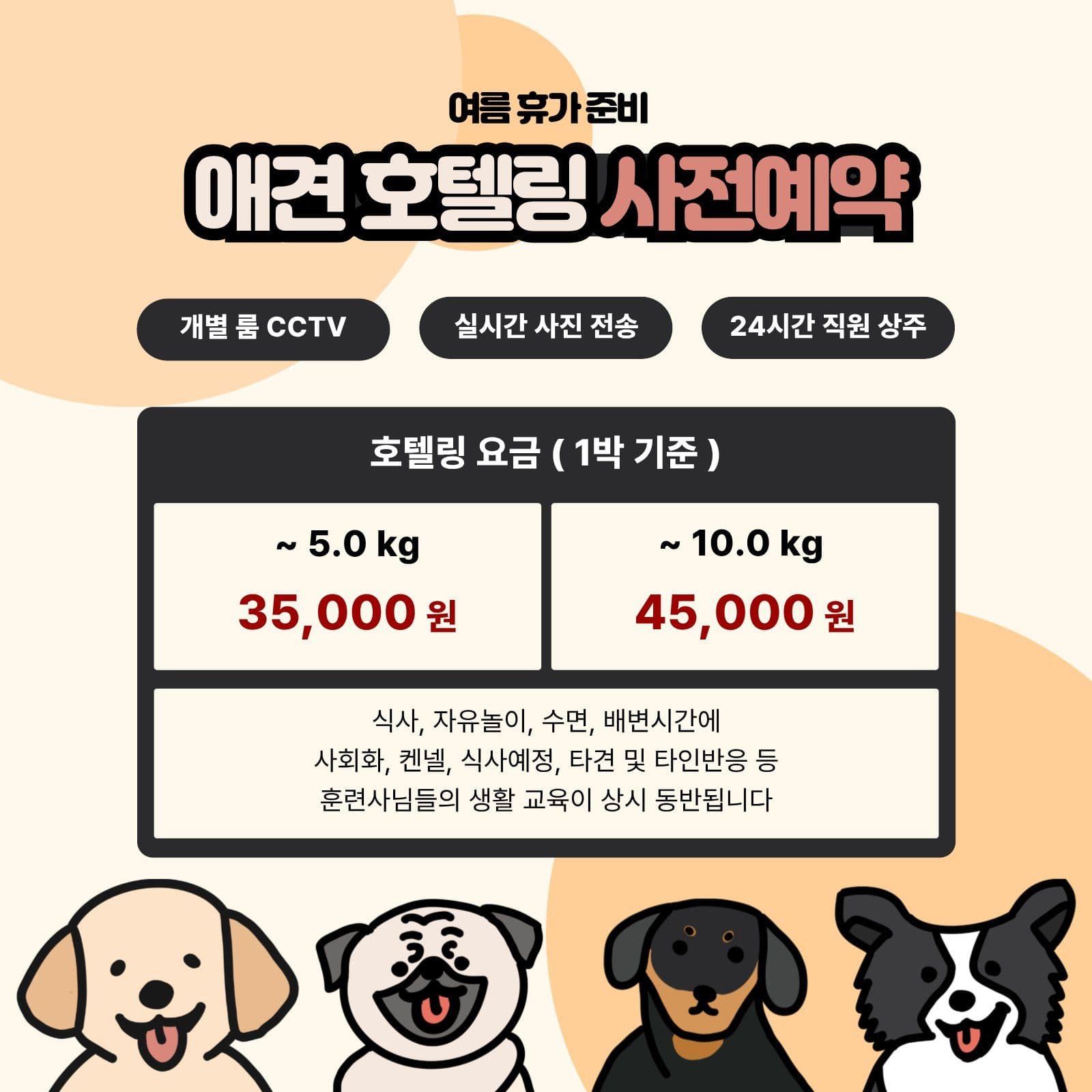 애견호텔링사전예약