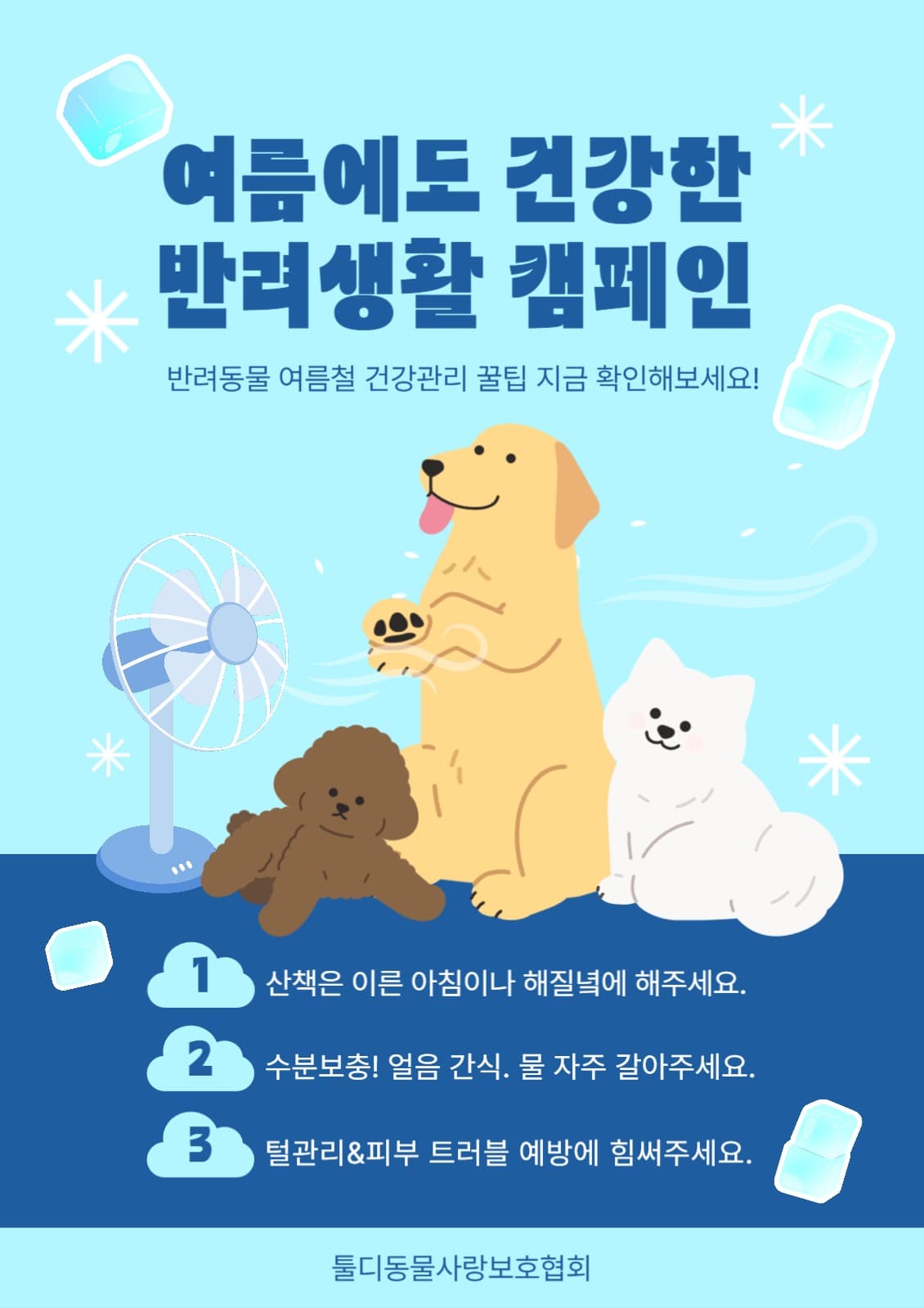 반려동물 여름 건강 캠페인