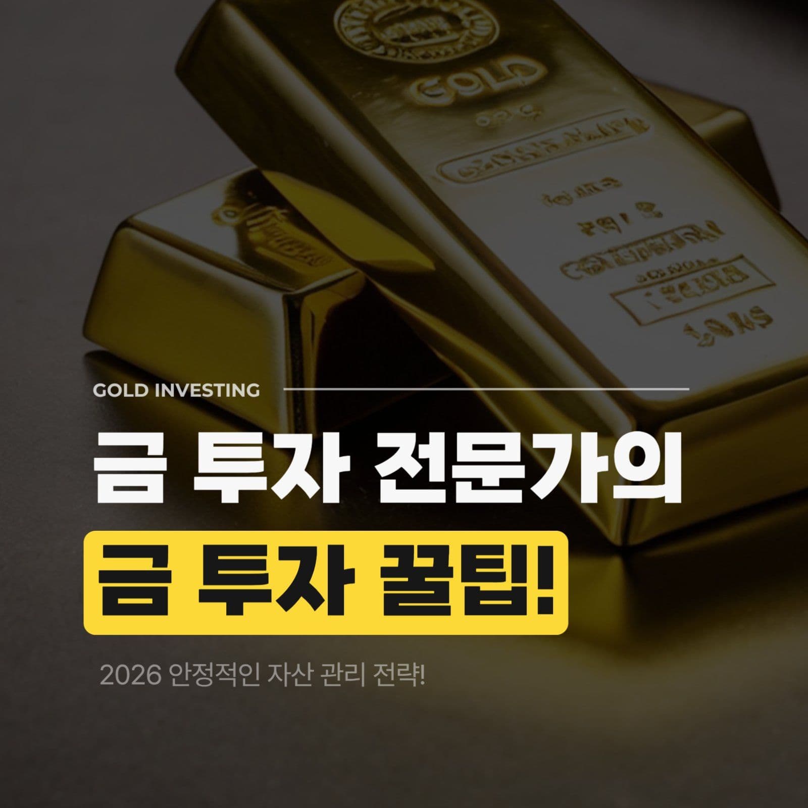 사진배경 재테크 인스타 블로그 썸네일