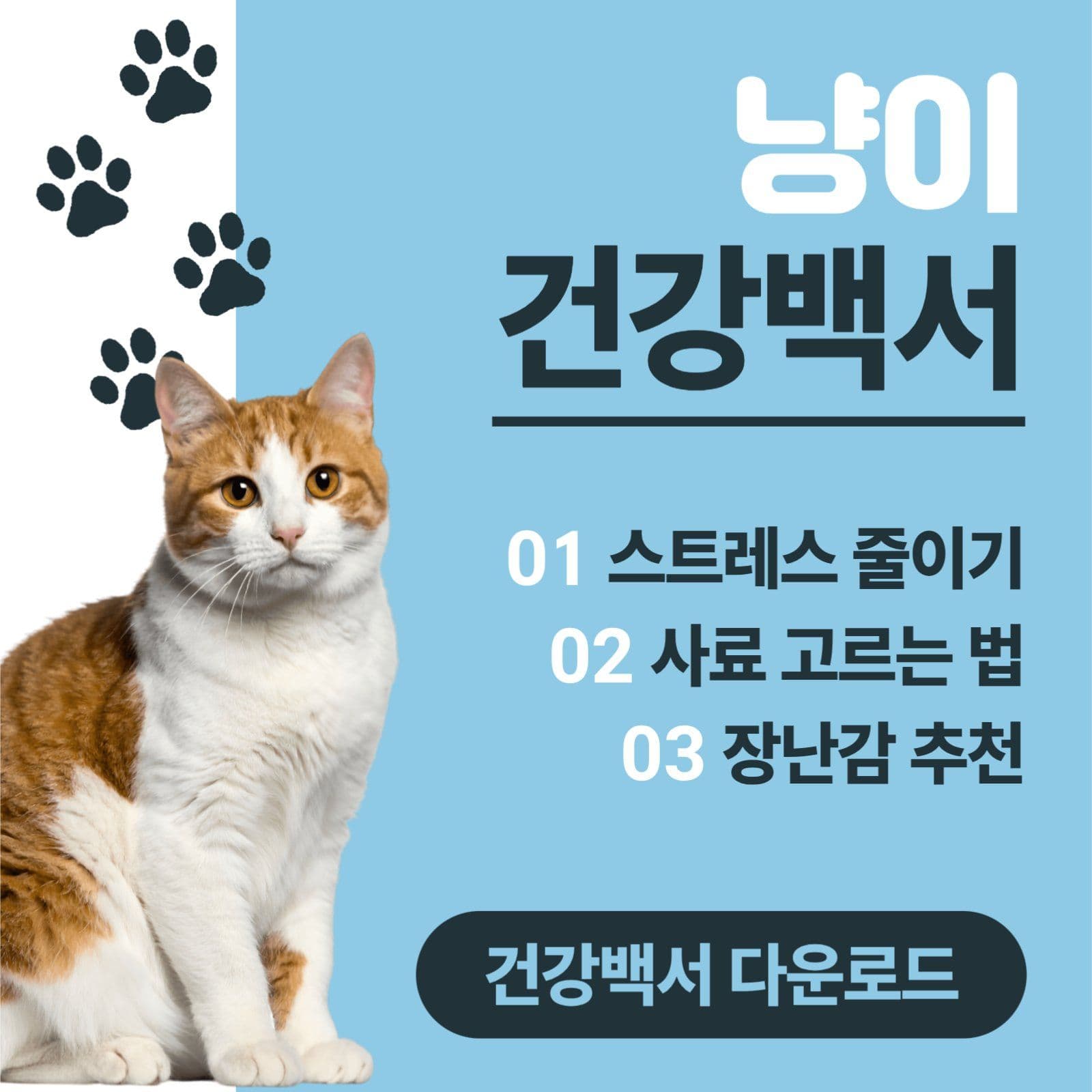 냥이 건강백서
