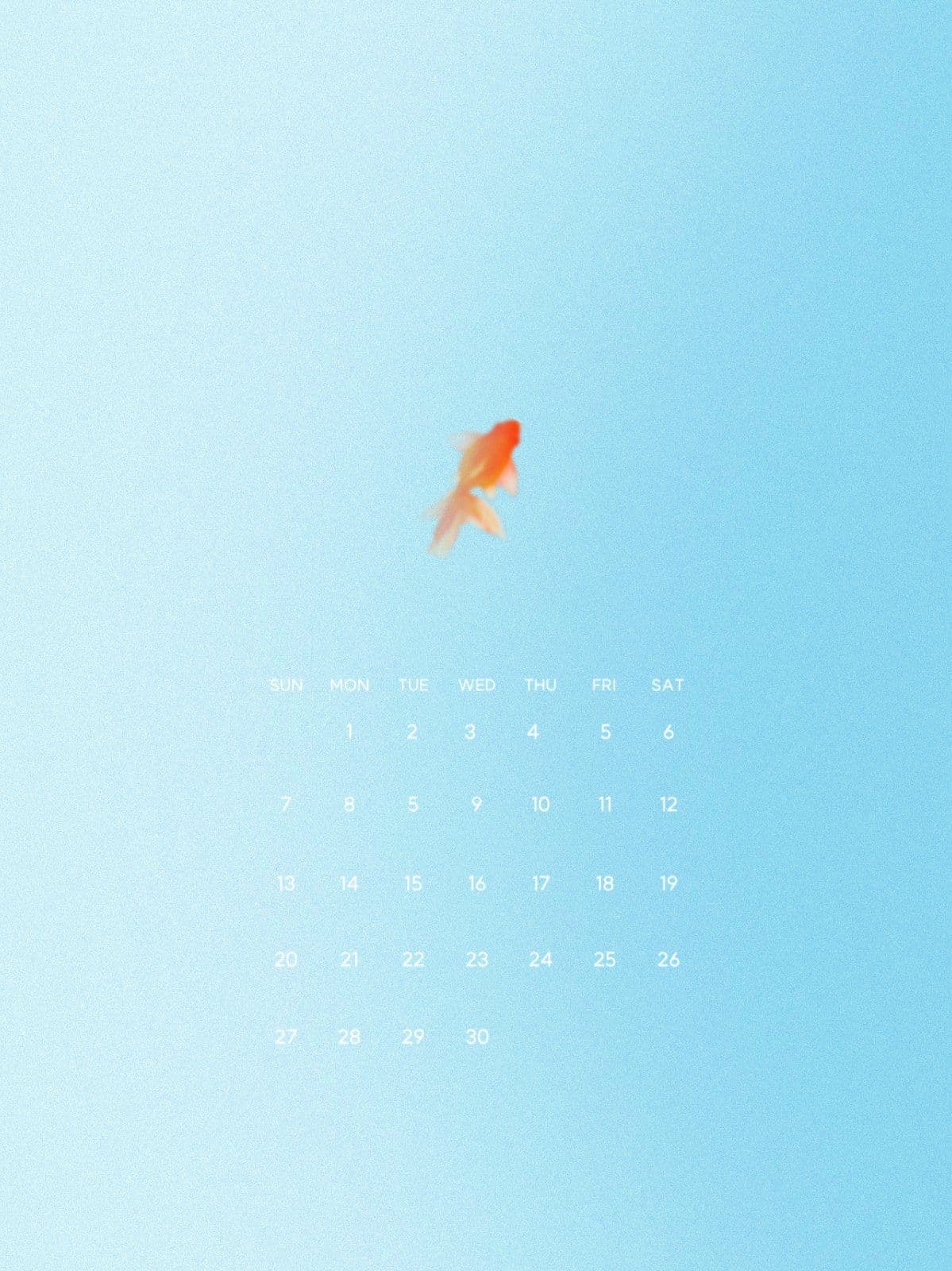 몽환적인 금붕어 감성 배경화면