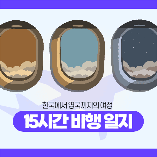 비행 일지 피드