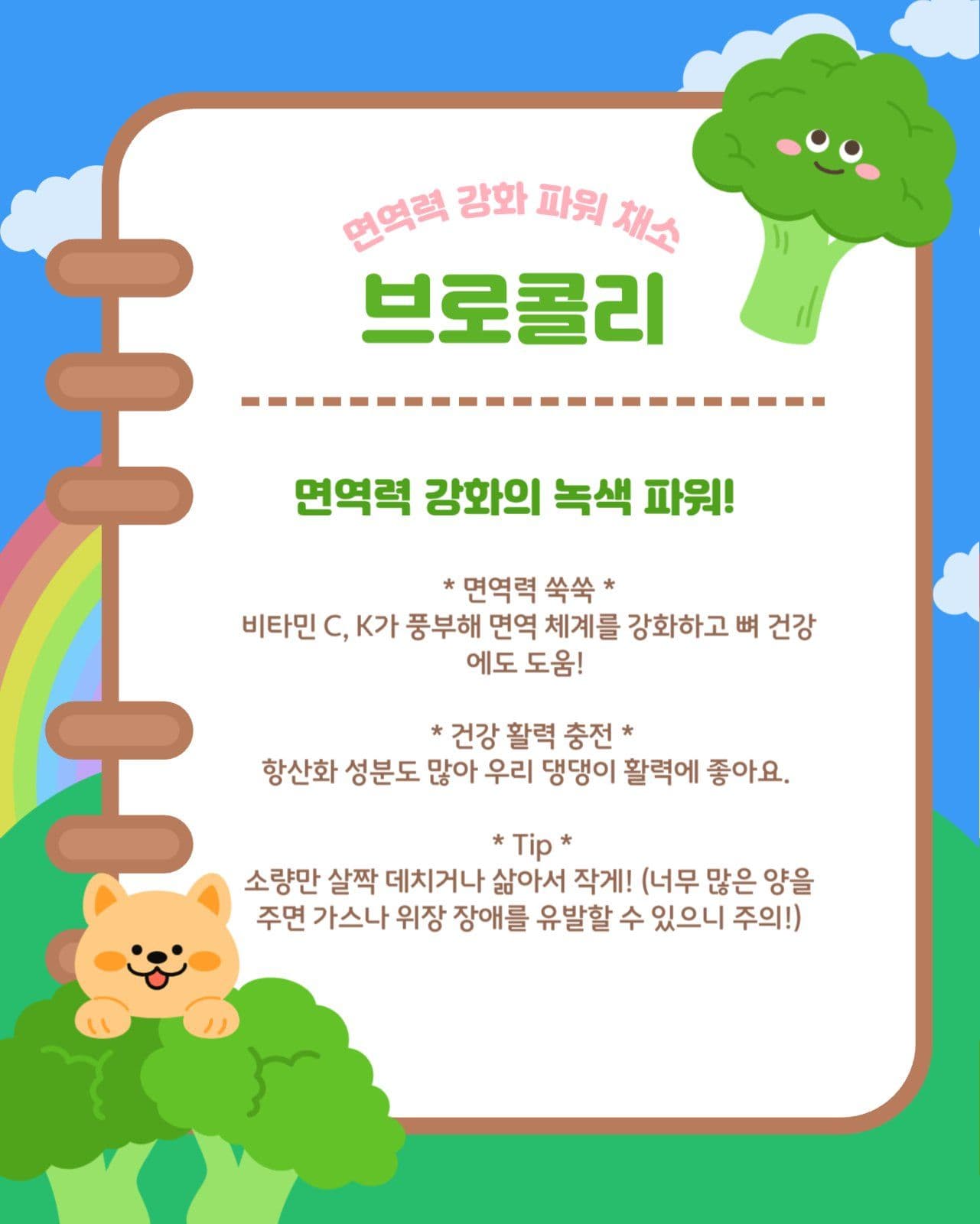강아지에게 좋은 채소