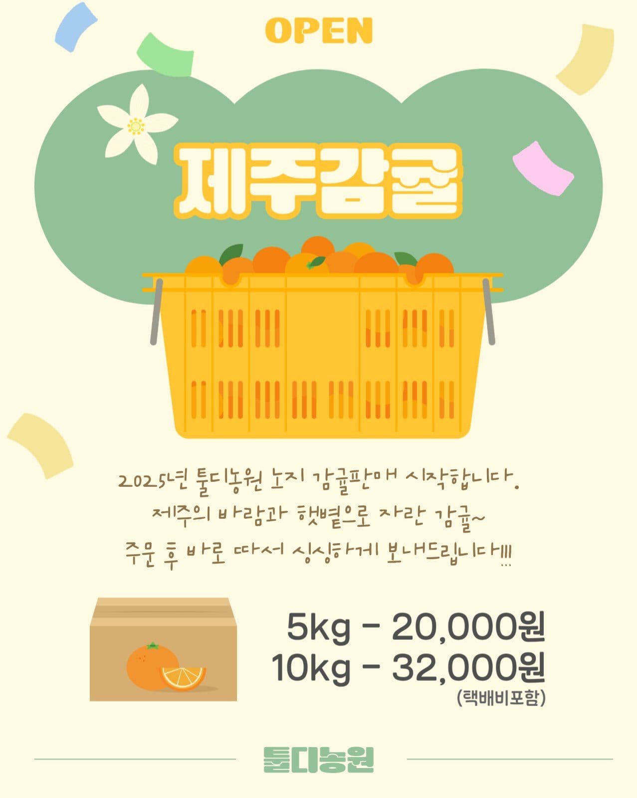 제주노지감귤판매시작