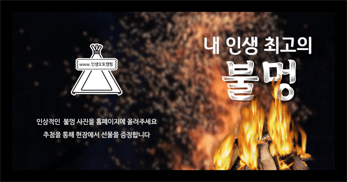 내 인생 불멍