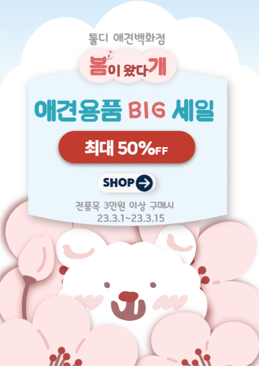 애견샵 세일