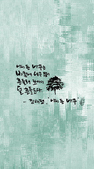 나이든나무