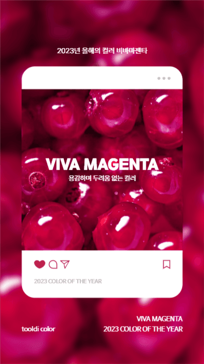비바마젠타 스토리