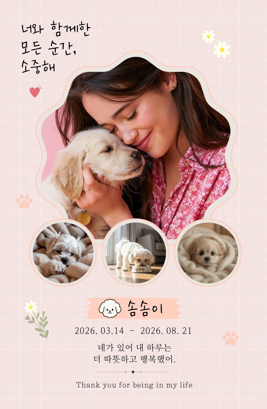 반려동물 추억 포토카드