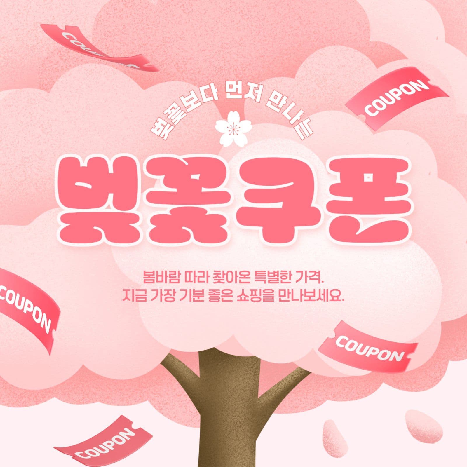 벚꽃 쿠폰