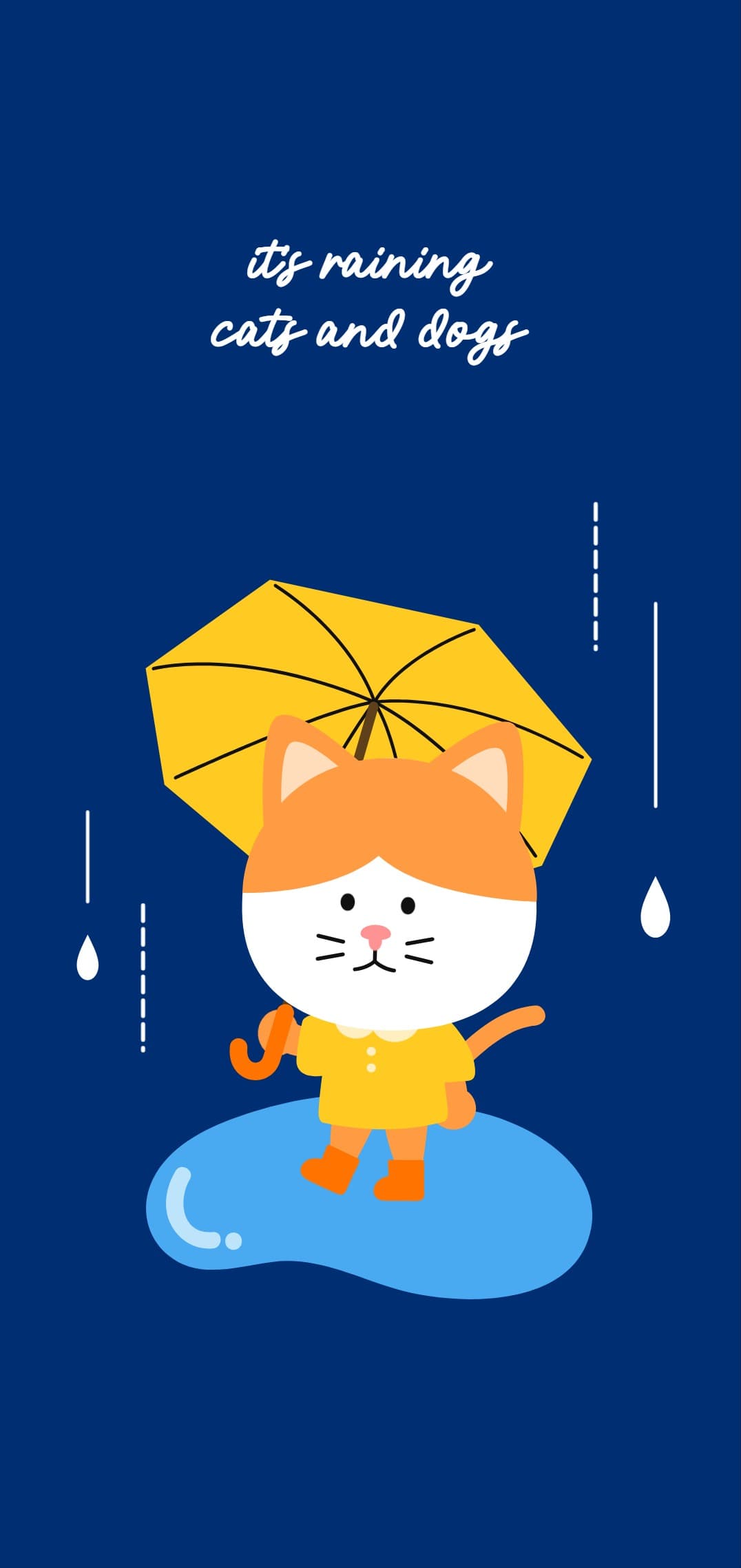 비오는 날 고양이 배경화면