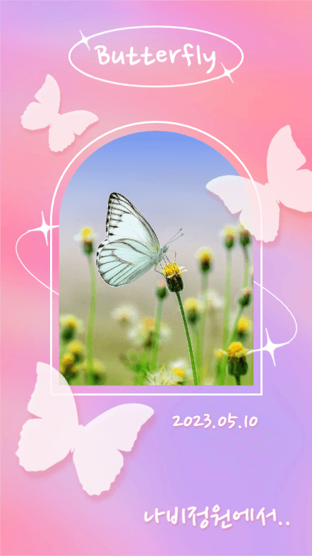 Butterfly (인스타스토리)