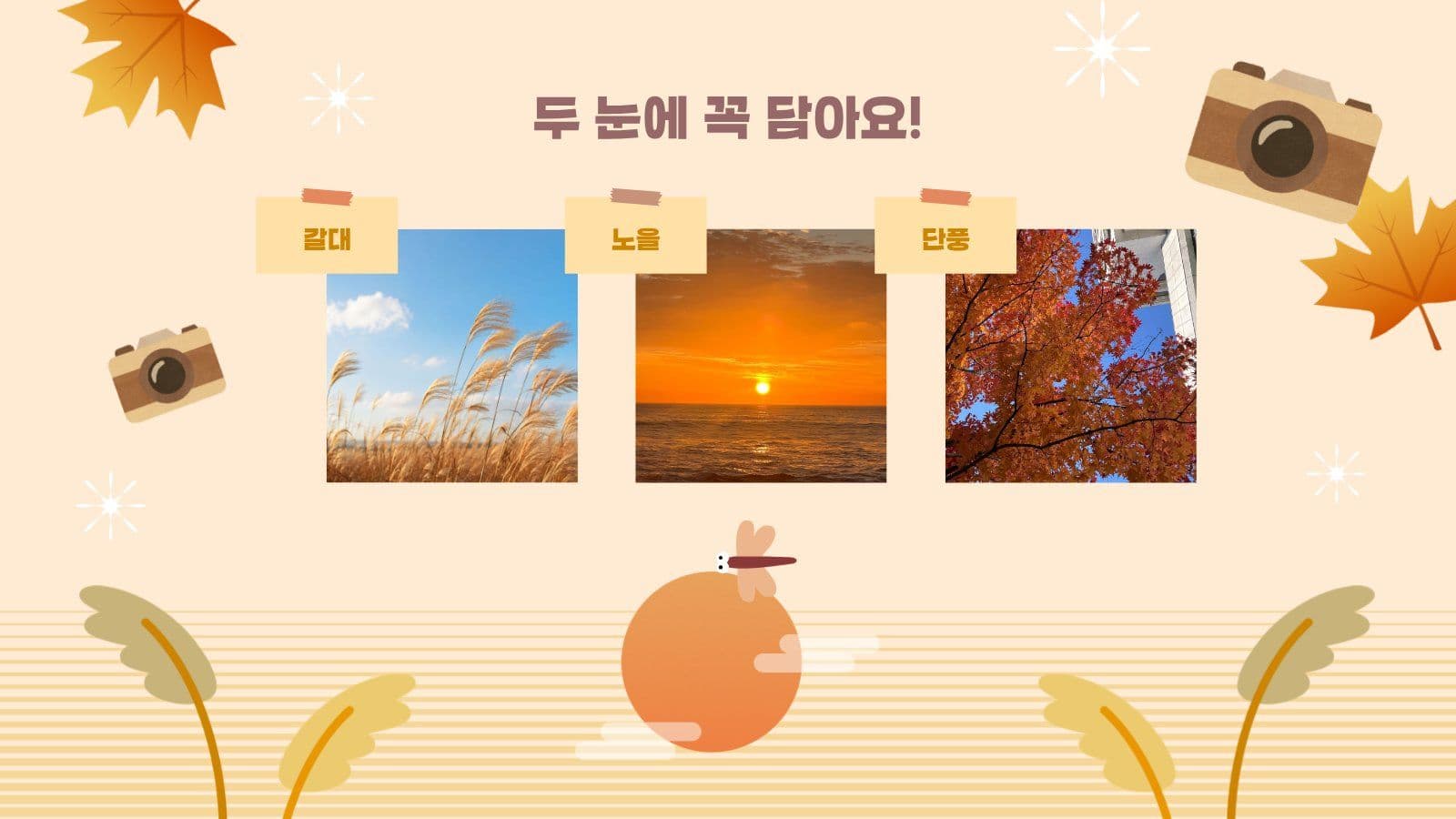 베이지톤 가을 소풍 안내 PPT