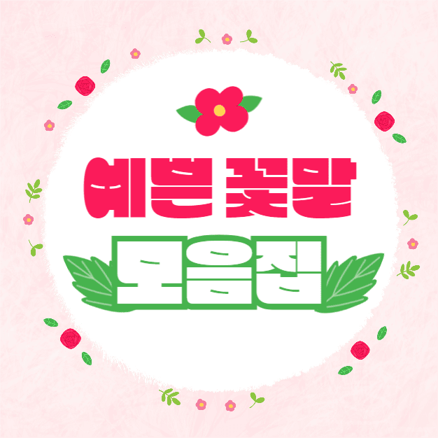 예쁜 꽃말 모음집 (인스타)