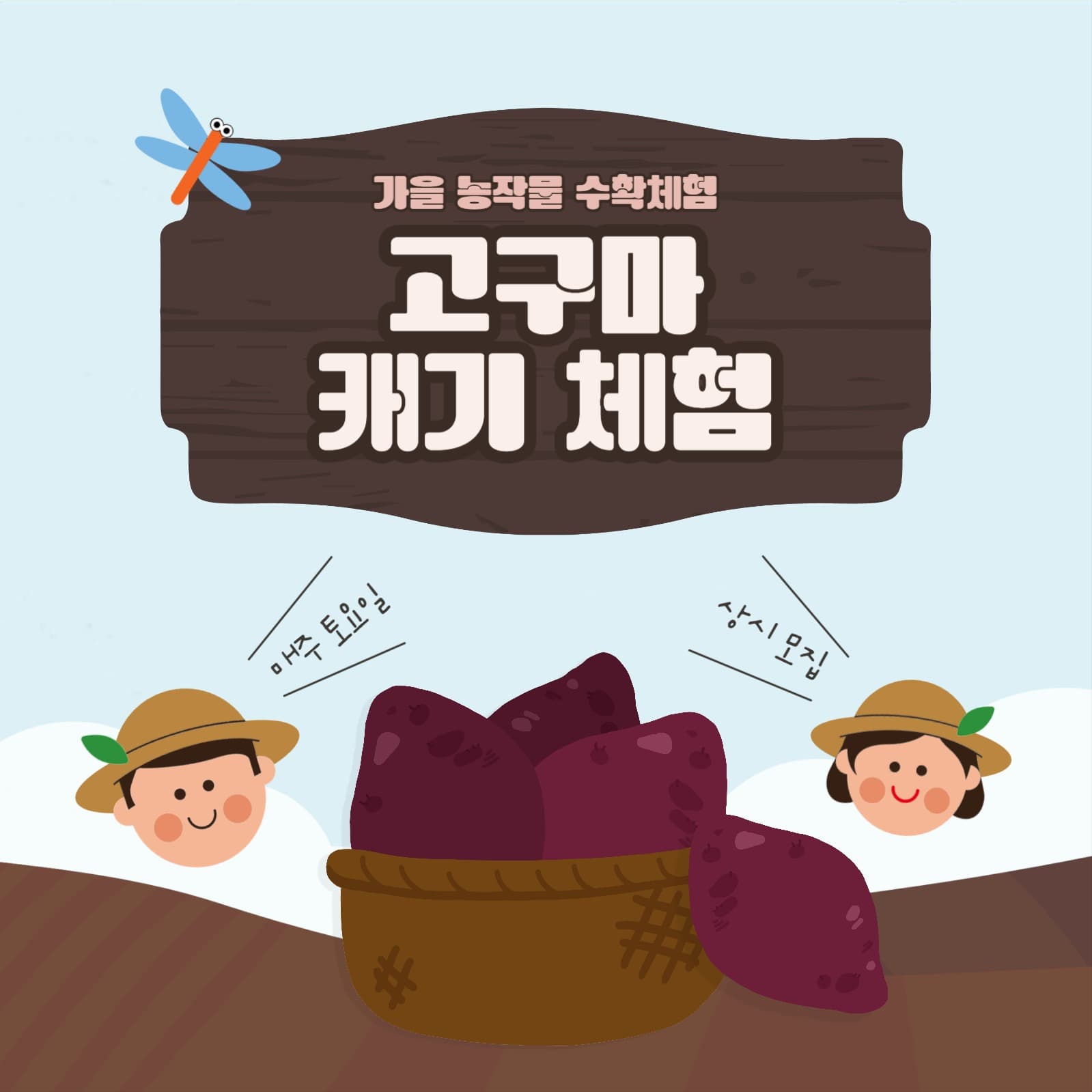 가을 농작물 고구마 수확 체험 안내