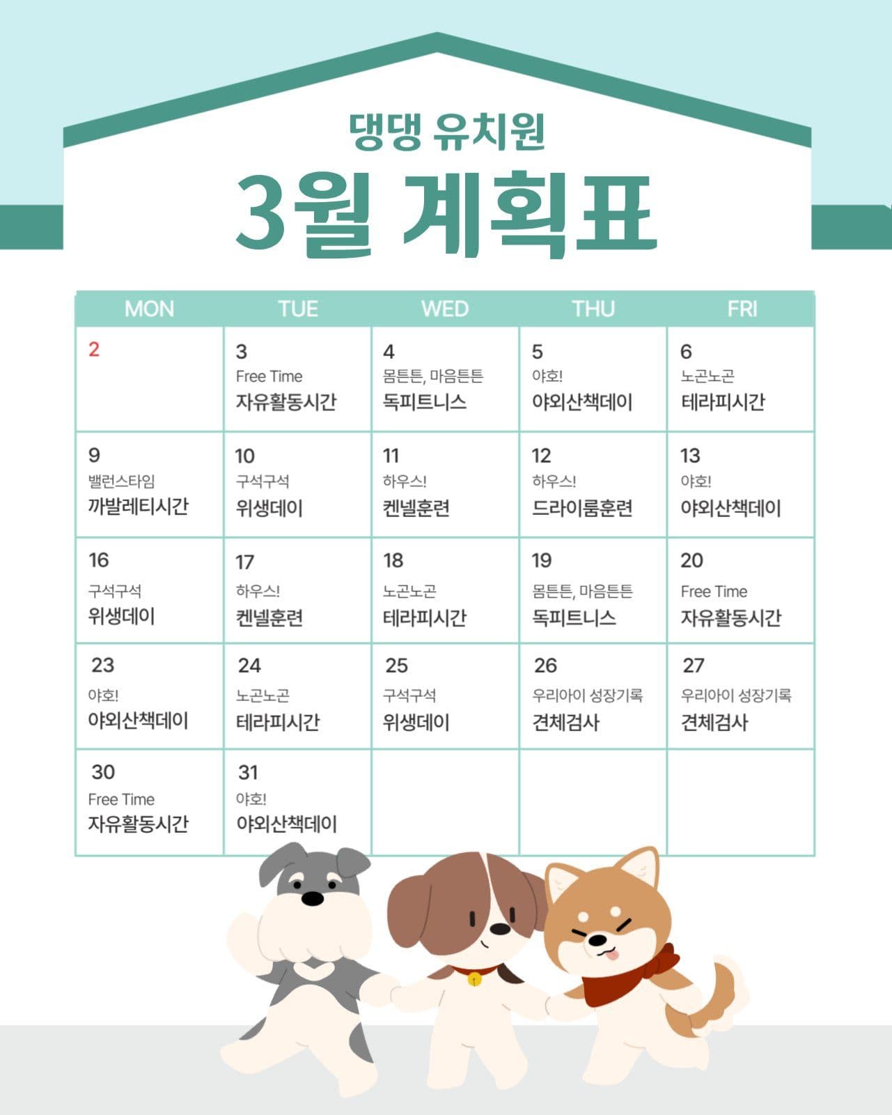애견 유치원 시간표