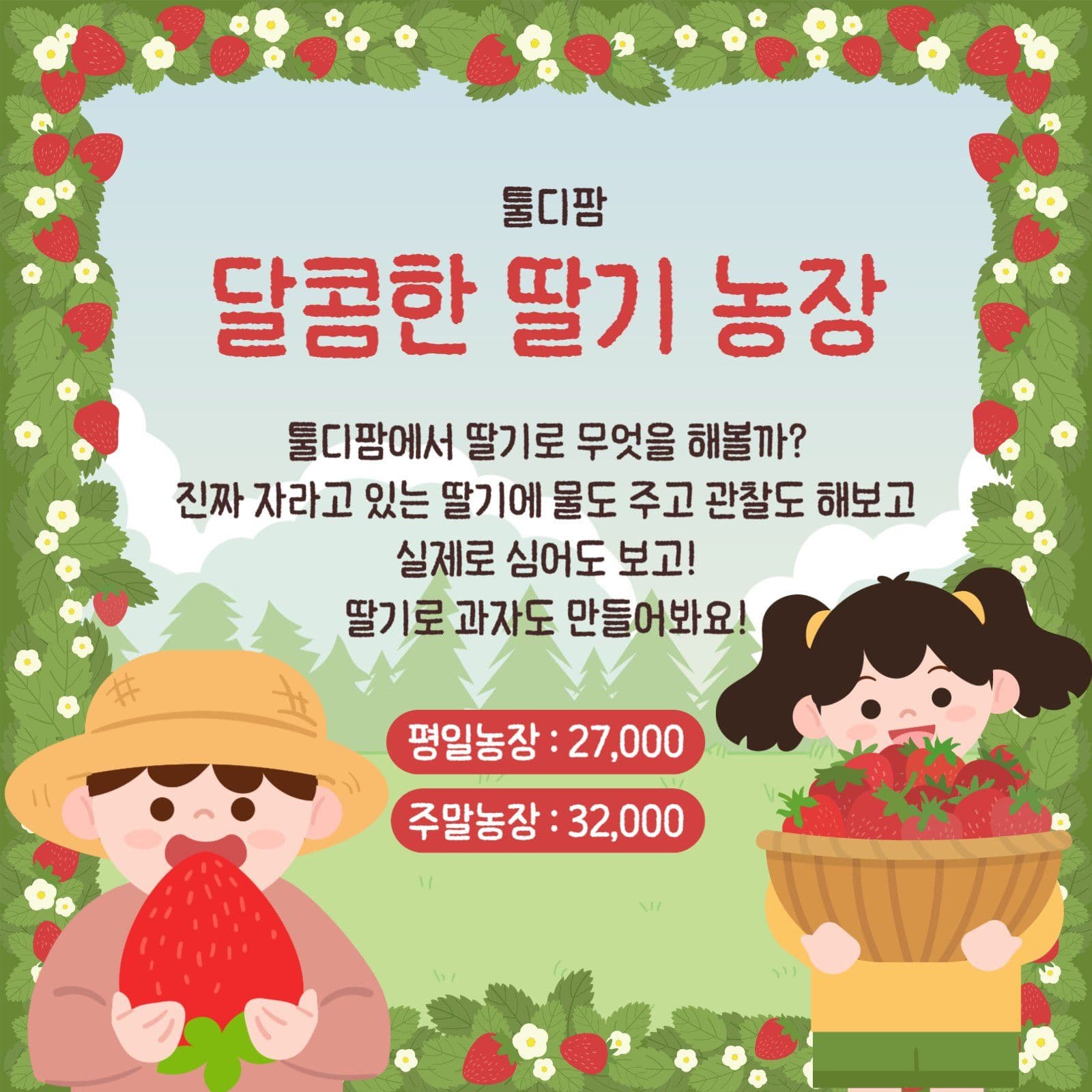 딸기 농장