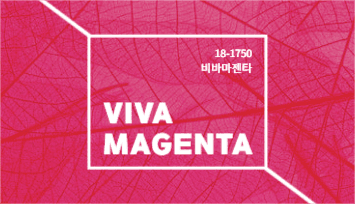 VIVA MAGENTA 명함