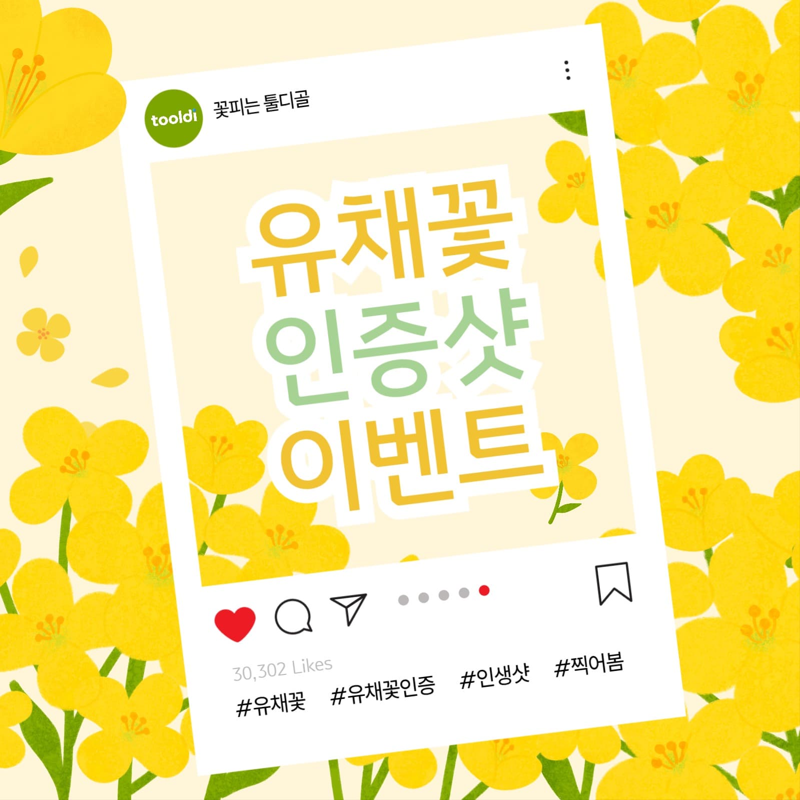 유채꽃 인증샷 이벤트