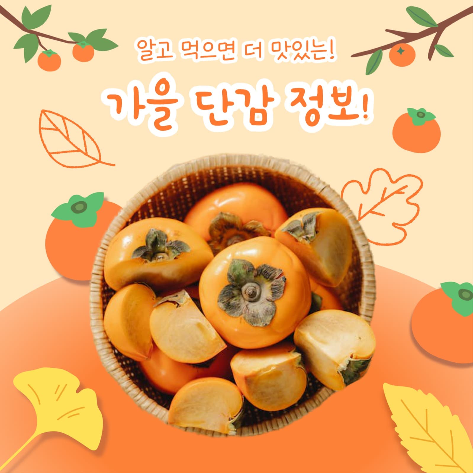 가을 단감 정보 (카드뉴스)